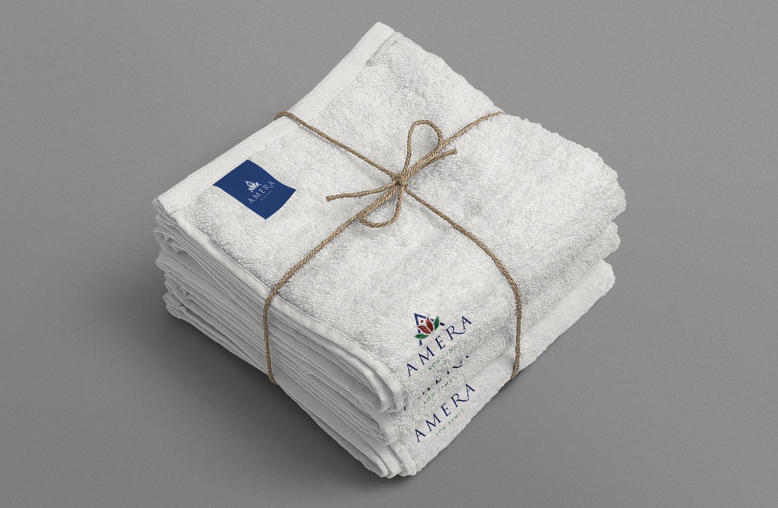 Amera — Luxury living brand, by Noesis Brand+Digital