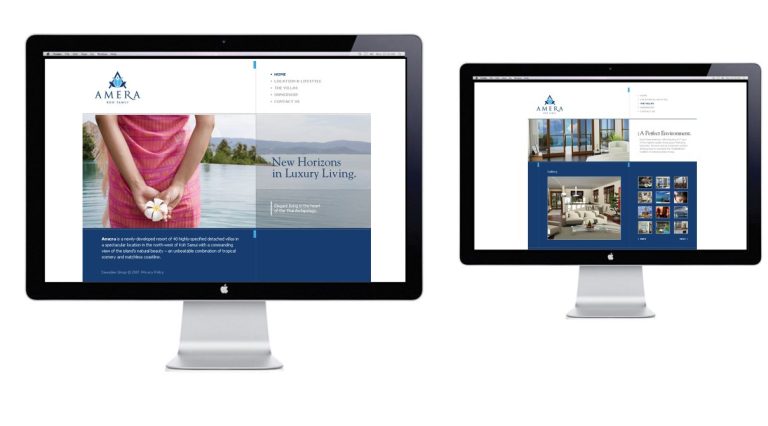 Amera project by Noesis Brand+Digital